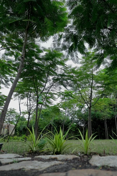 Oasis Ecostay About Us 02