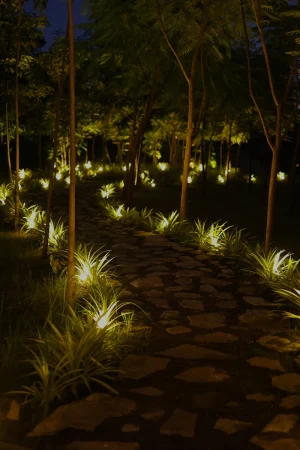 Oasis Ecostay Entery Night Pathway