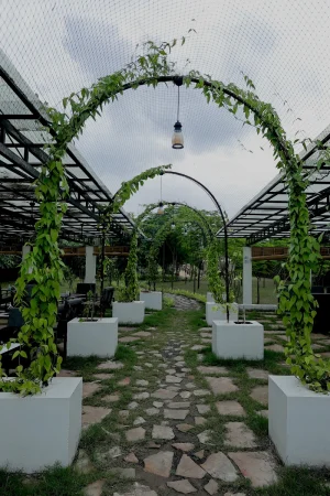 Oasis Ecostay Entery