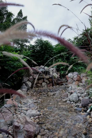 Oasis Ecostay Waterfall